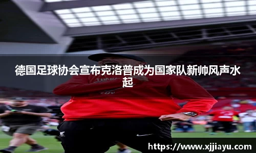 星空·综合体育官方网站