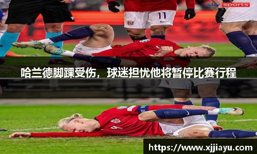 星空·综合体育官方网站