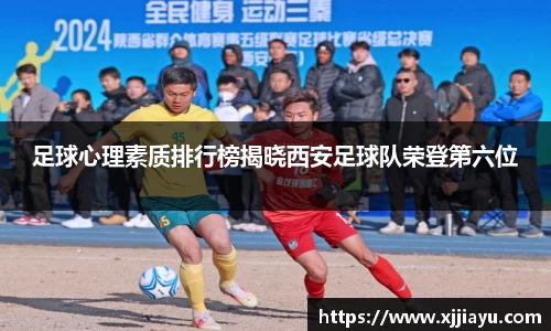 星空·综合体育中国官方网站