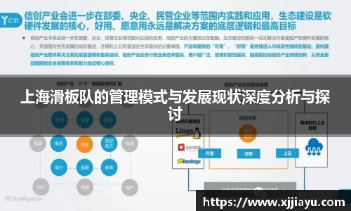 上海滑板队的管理模式与发展现状深度分析与探讨