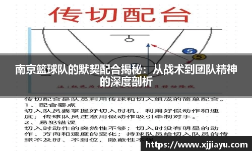 星空·综合体育官方网站
