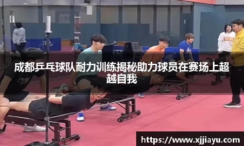 星空·综合体育官方网站