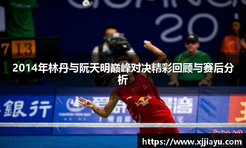 2014年林丹与阮天明巅峰对决精彩回顾与赛后分析