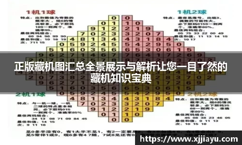 正版藏机图汇总全景展示与解析让您一目了然的藏机知识宝典