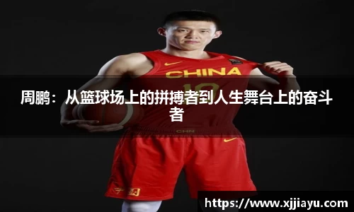 JN体育